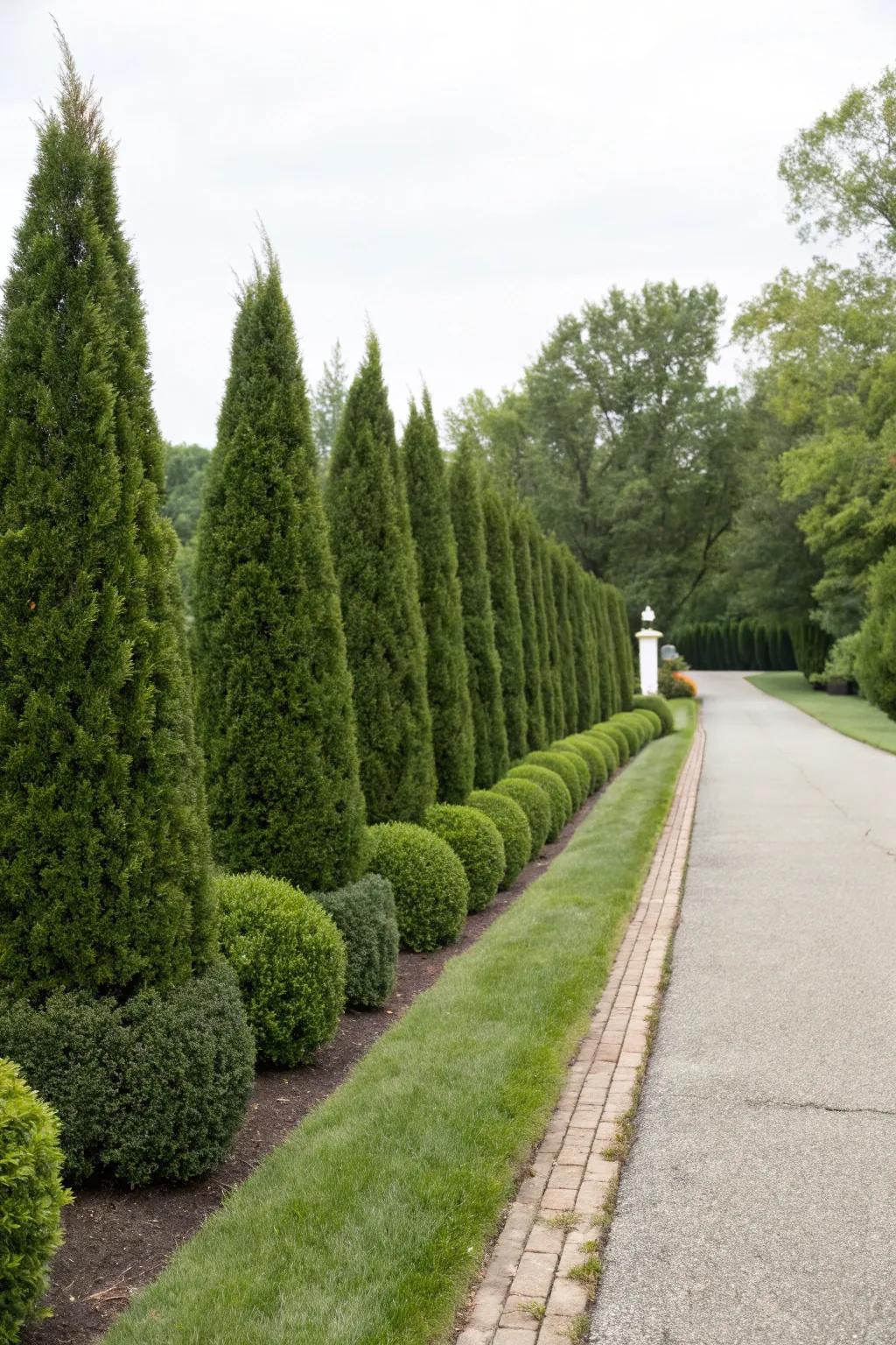 Perennial shrubs present constant greenery and framework.
