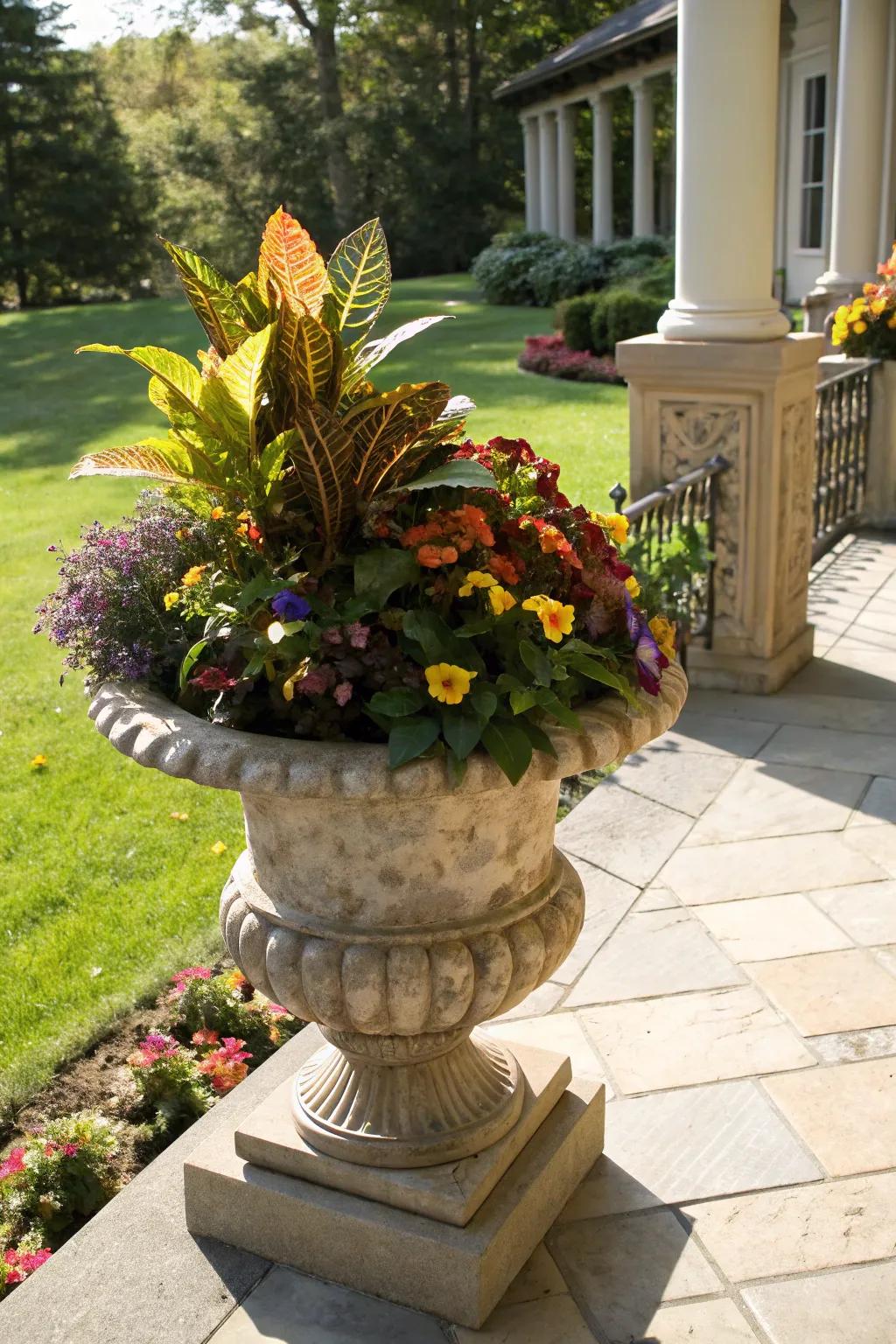 Daring colors with varied leaves and cheerful faces in a fall container.