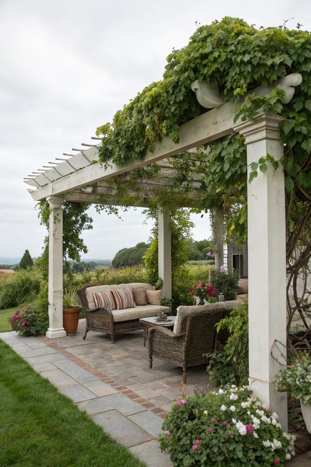 Design a trellis getaway with climbing plants and comfortable seating.