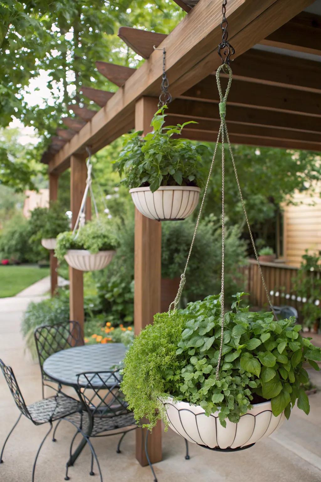 Suspended cultivators showcasing herbs at eye level.