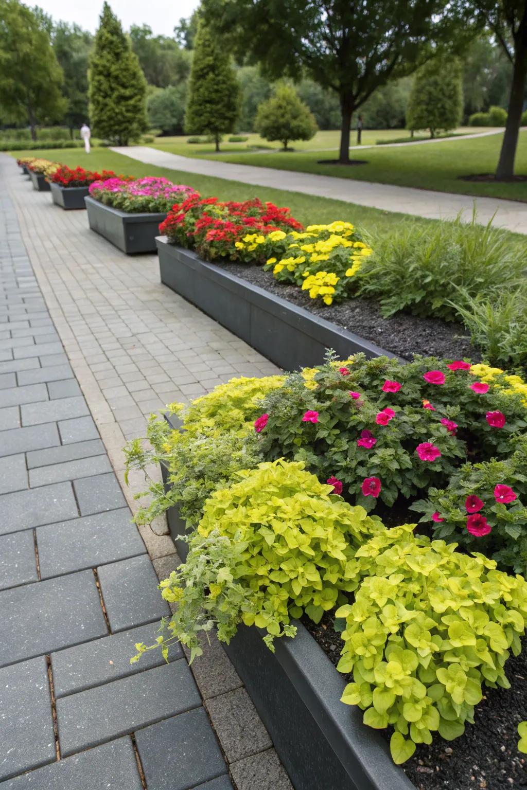Contrasting colors lead to a visually impressive garden.