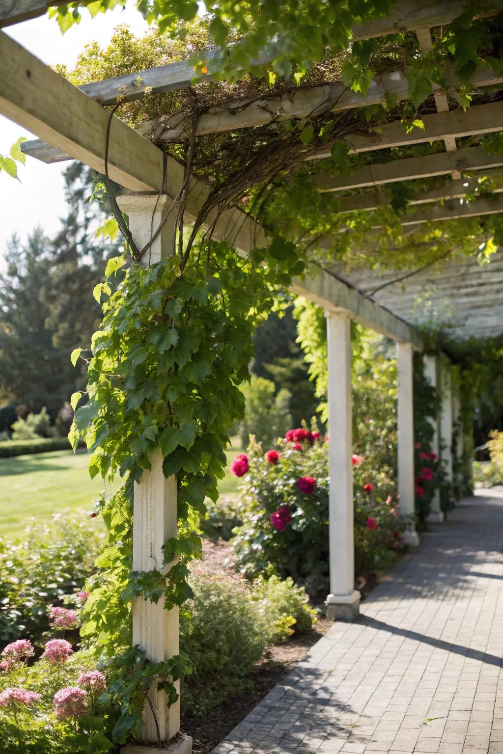 Natural greenery highlights the pergola's connection with the garden.