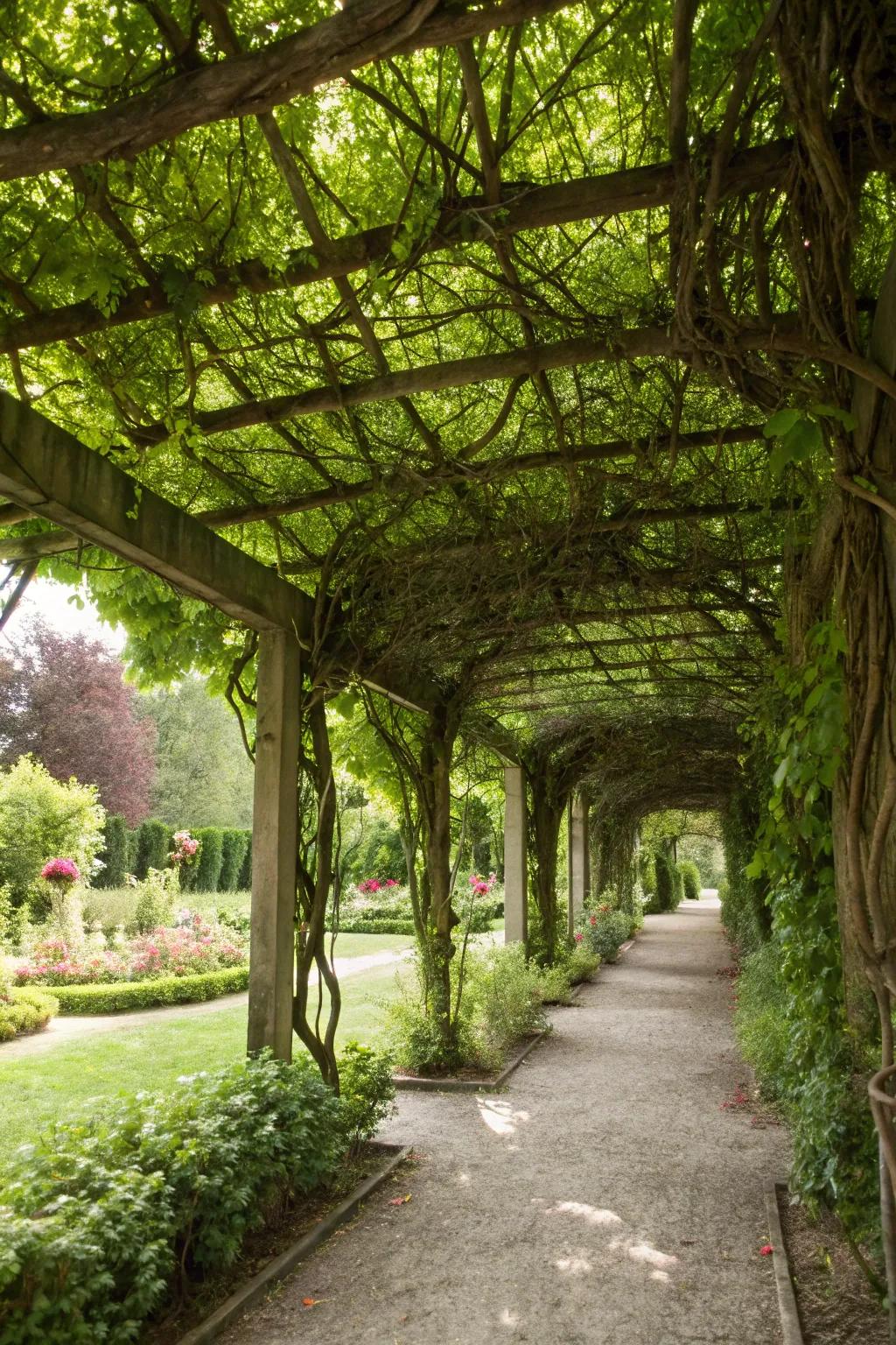 Vine-encircled arbors blend beauty with functionality.