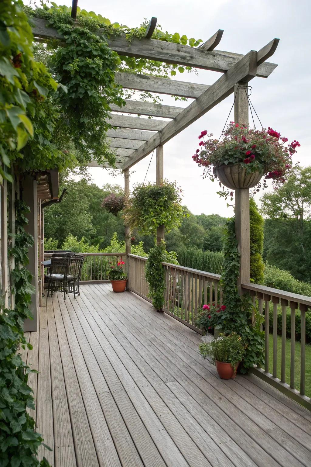 Enrich your veranda with a delightful trellis.
