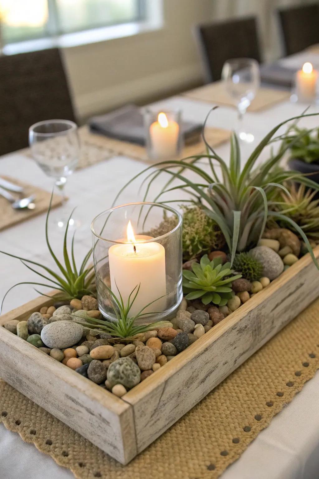 A tabletop display thoughtfully combining air plants with complementary decorative elements.