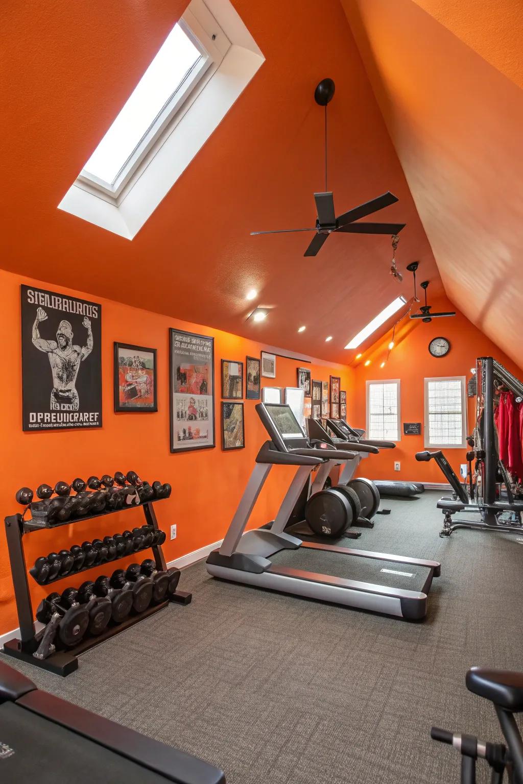 Vibrant colors energize and revitalize your workout setting.