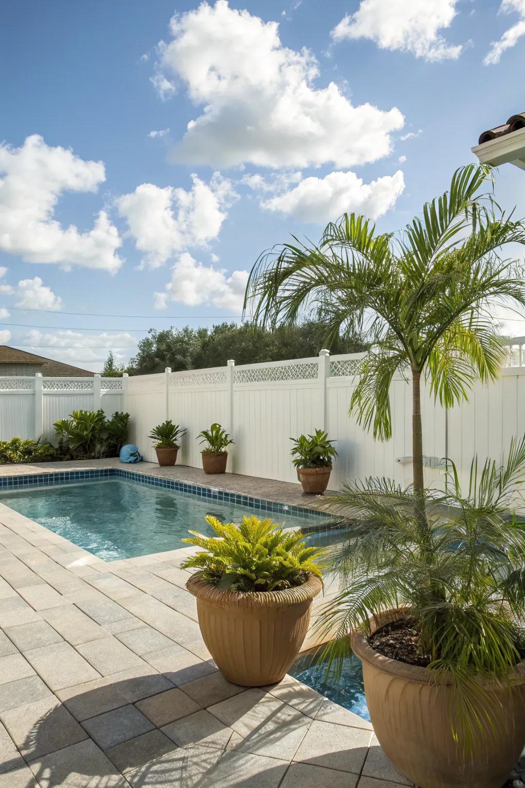 Mobile palms offer flexibility and lushness to any poolside area.