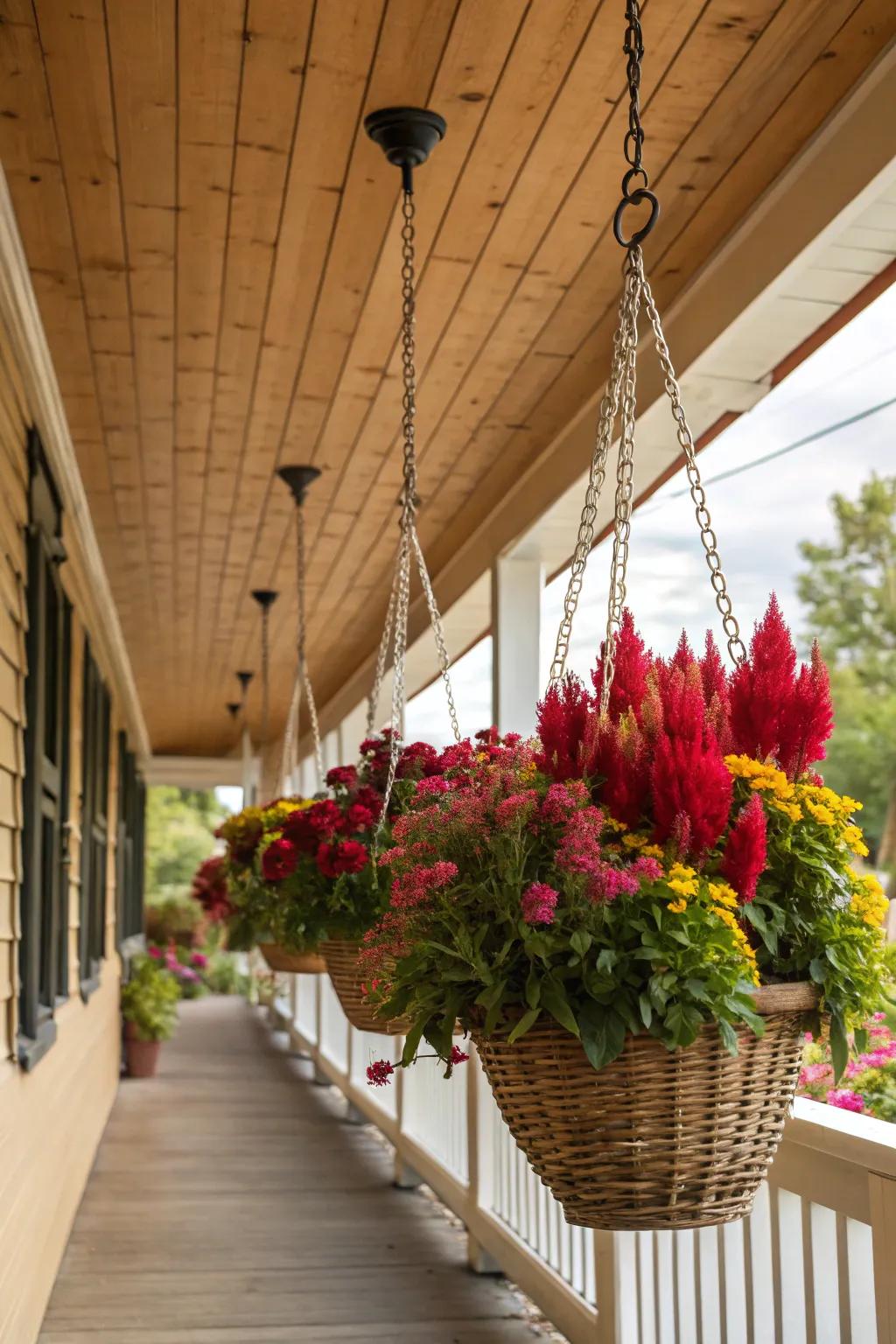 Dangling baskets present a vertical eruption of pigmentation through Featherbloom.