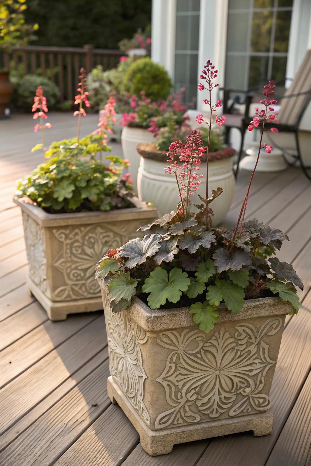 Huecheras grown in containers introduce lively colors to a patio setting.