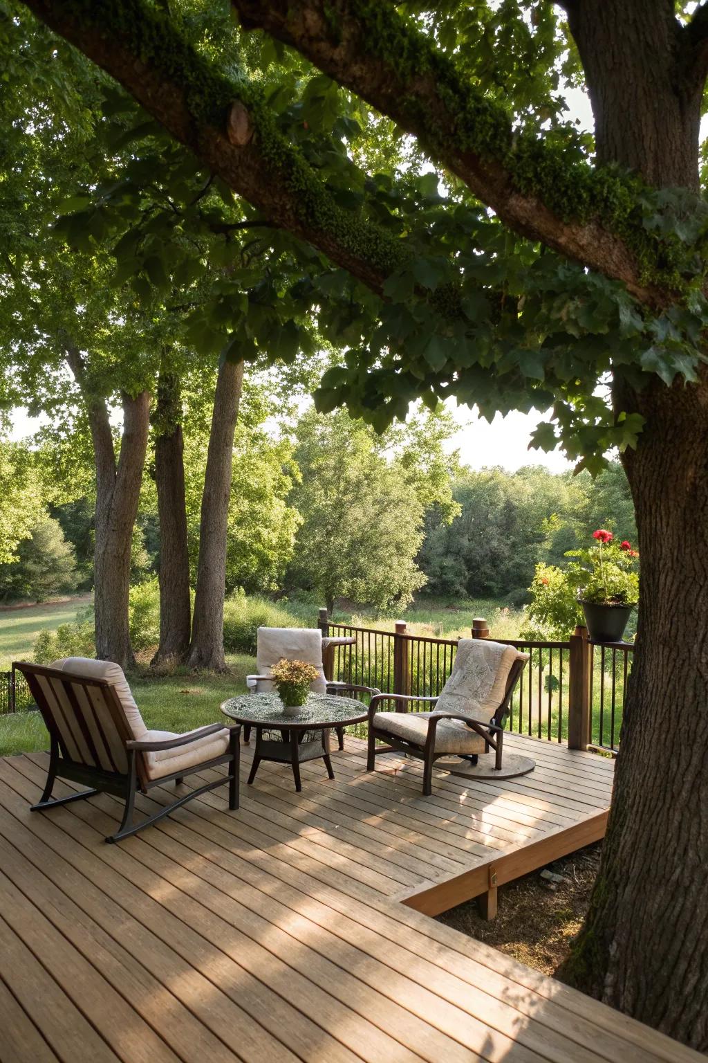 Natural shade from trees crafts a tranquil and eco-conscious deck atmosphere.