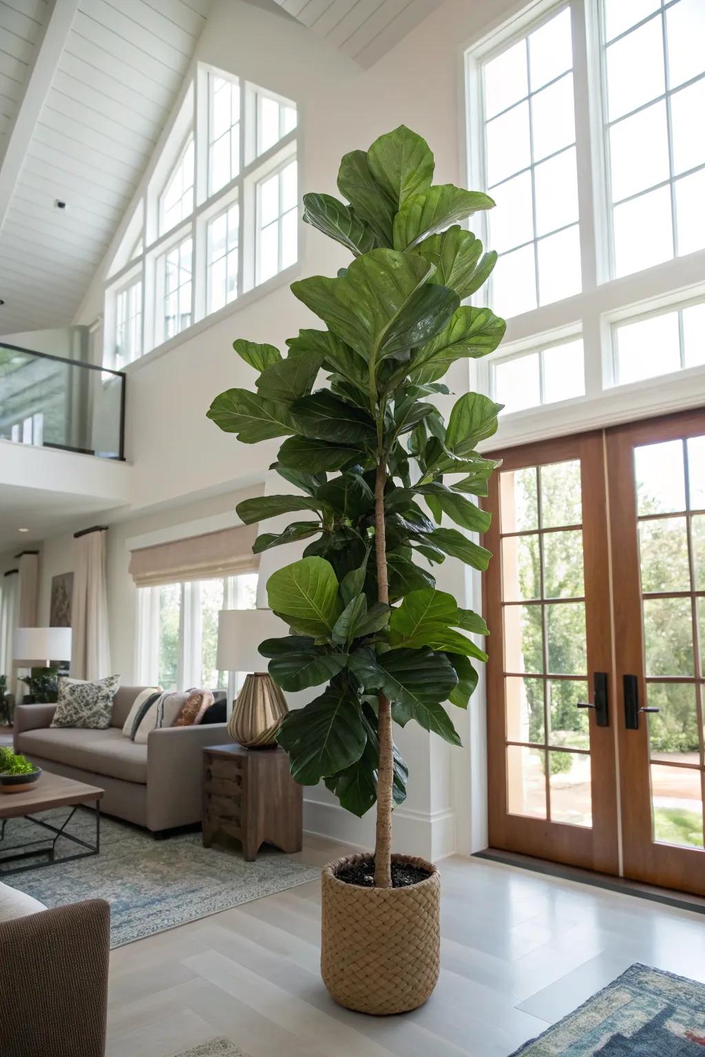 Tall plants accentuate the vertical dimension and usher nature indoors.