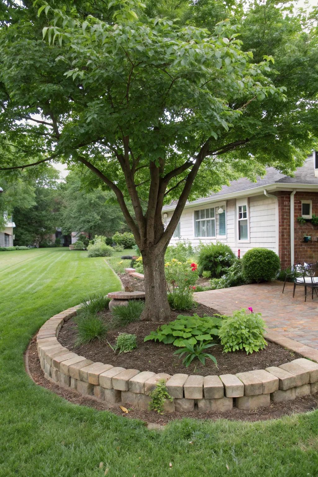 A tree with a distinct border of bricks, creating a neat and structured look.