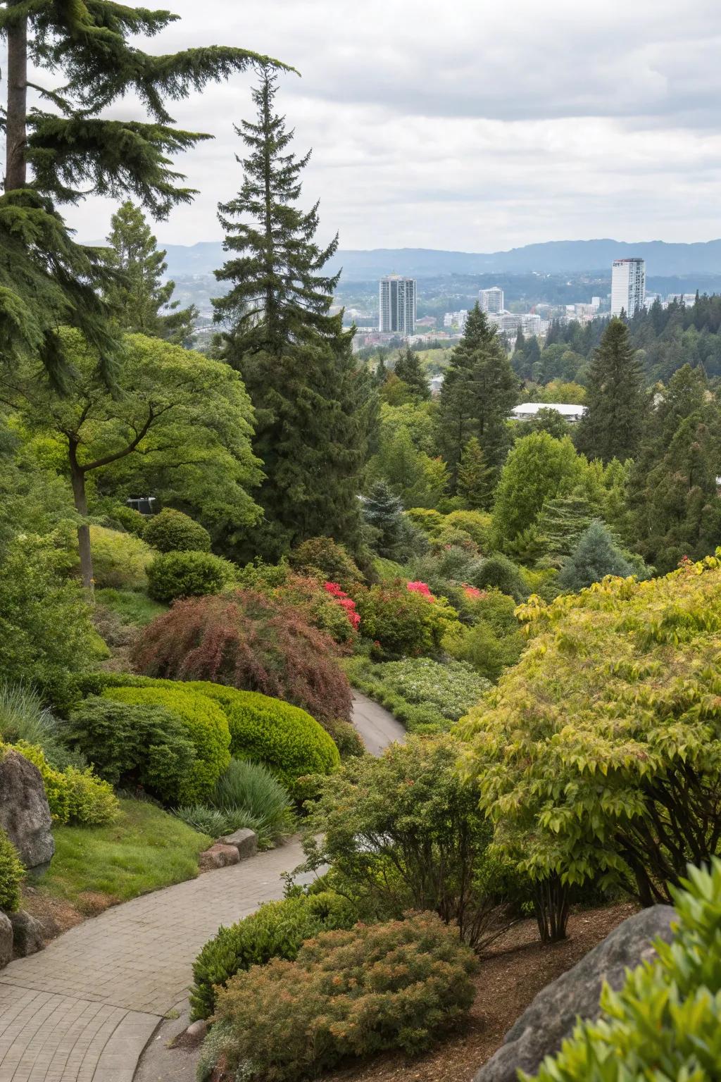 Evergreen shrubs and trees offer enduring greenery in a Portland garden.