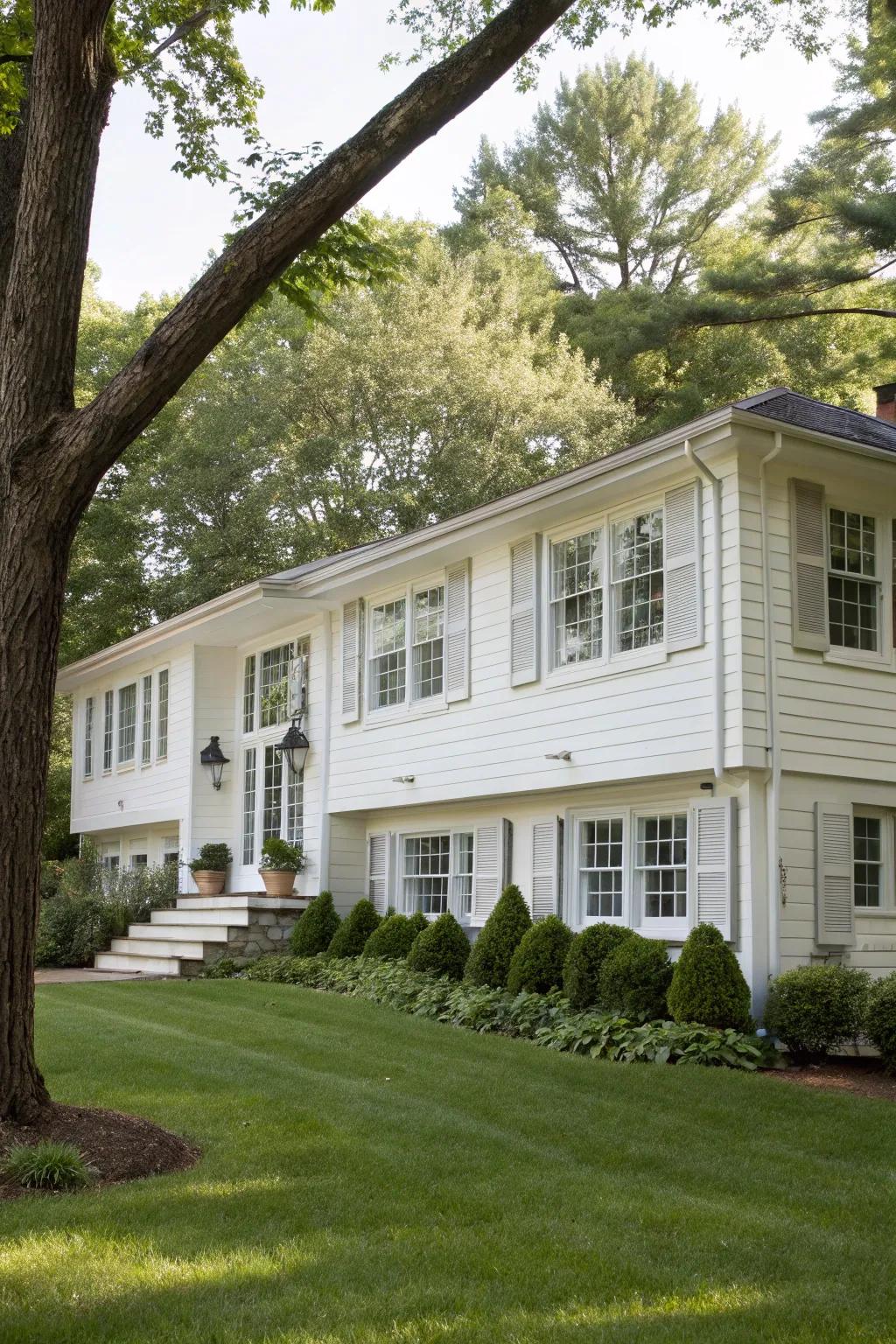 Charming windows framed with classic white window coverings on a raised ranch home.