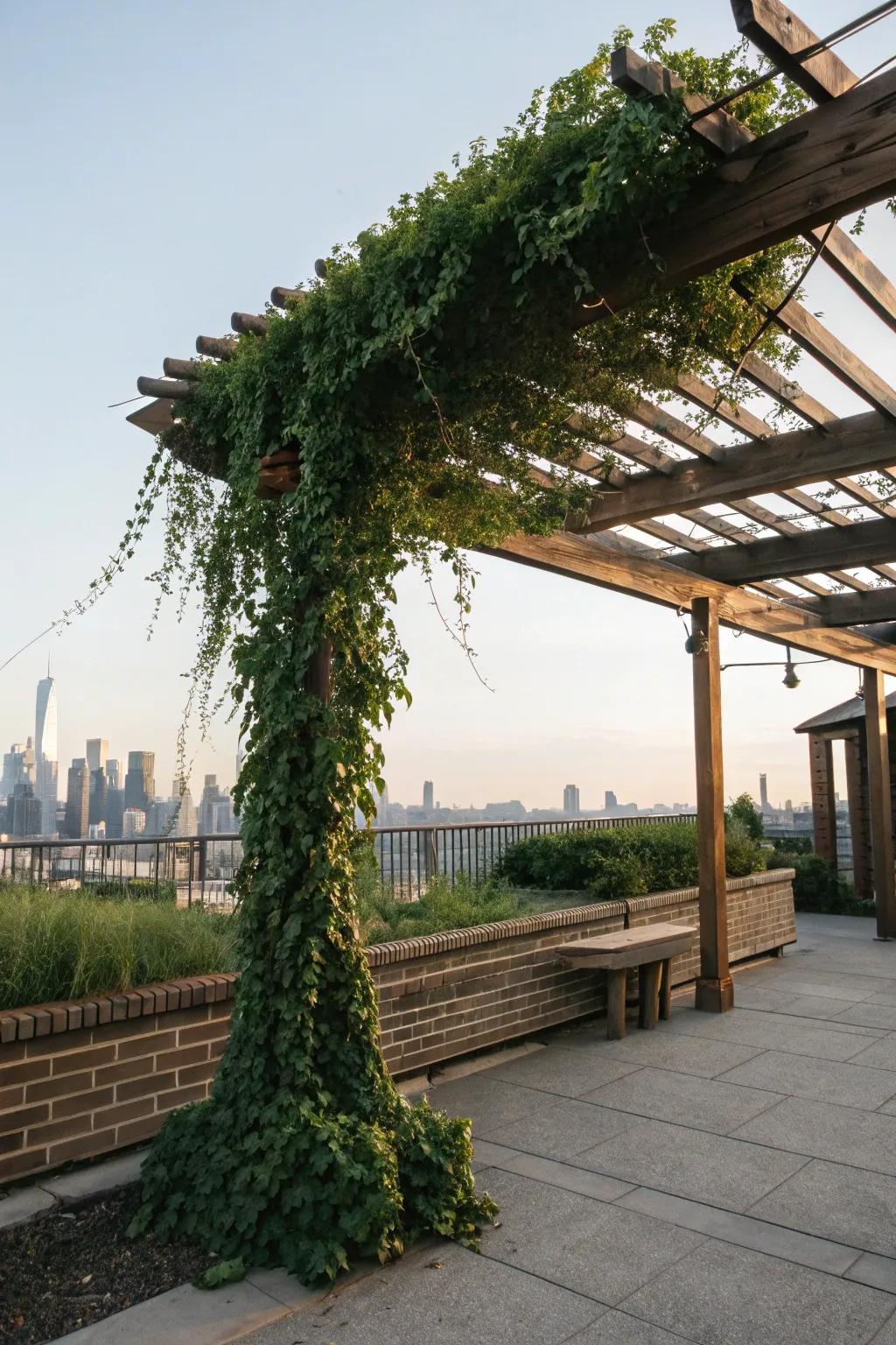 Introduce sophistication and shade with a beautifully crafted pergola.