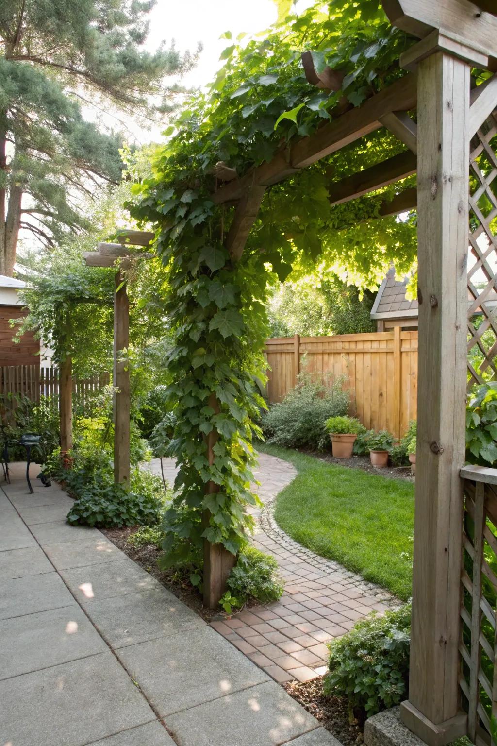 Trellises introduce height and verdancy without consuming ground space.