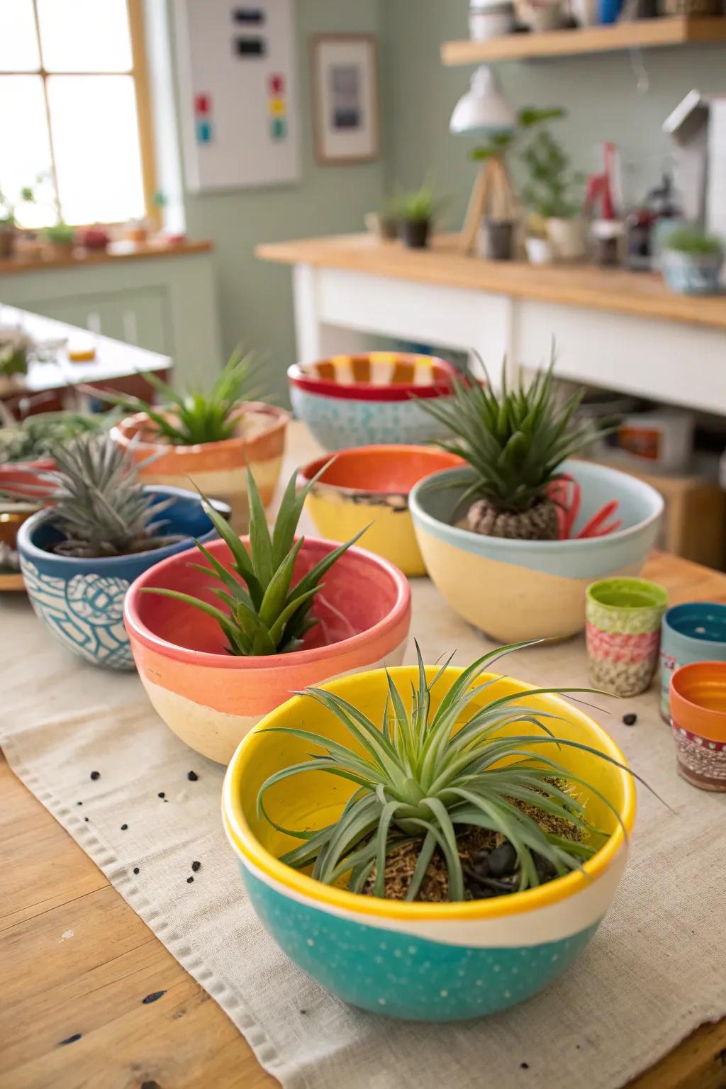 Air plants in DIY ceramic bowls.