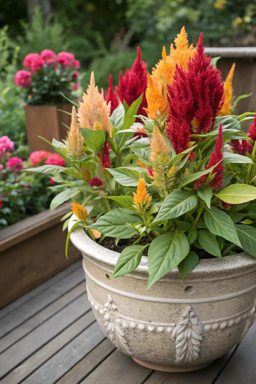Mix Featherbloom with emerald leafage, resulting in a remarkable comparison.