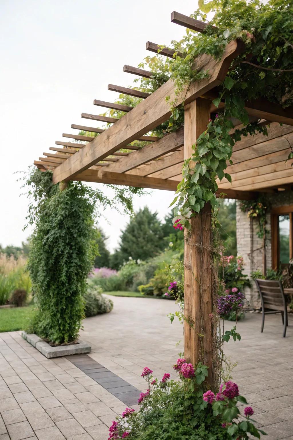 A pergola adds shade and visual appeal.