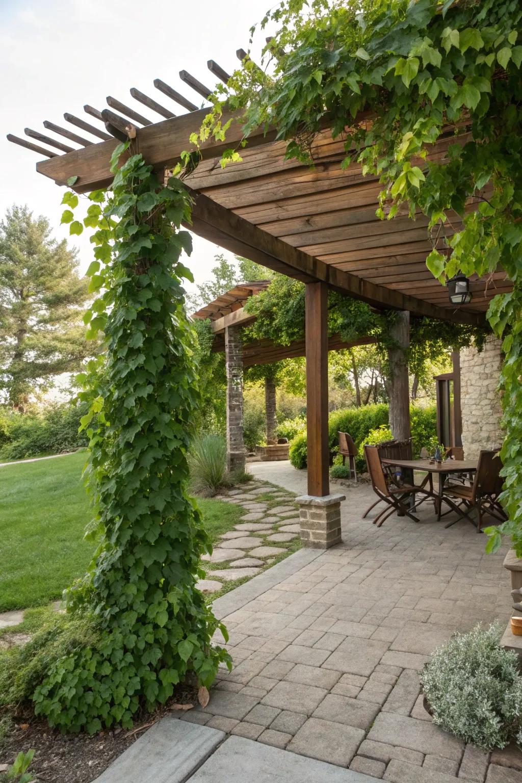 A pergola provides structure and shade.
