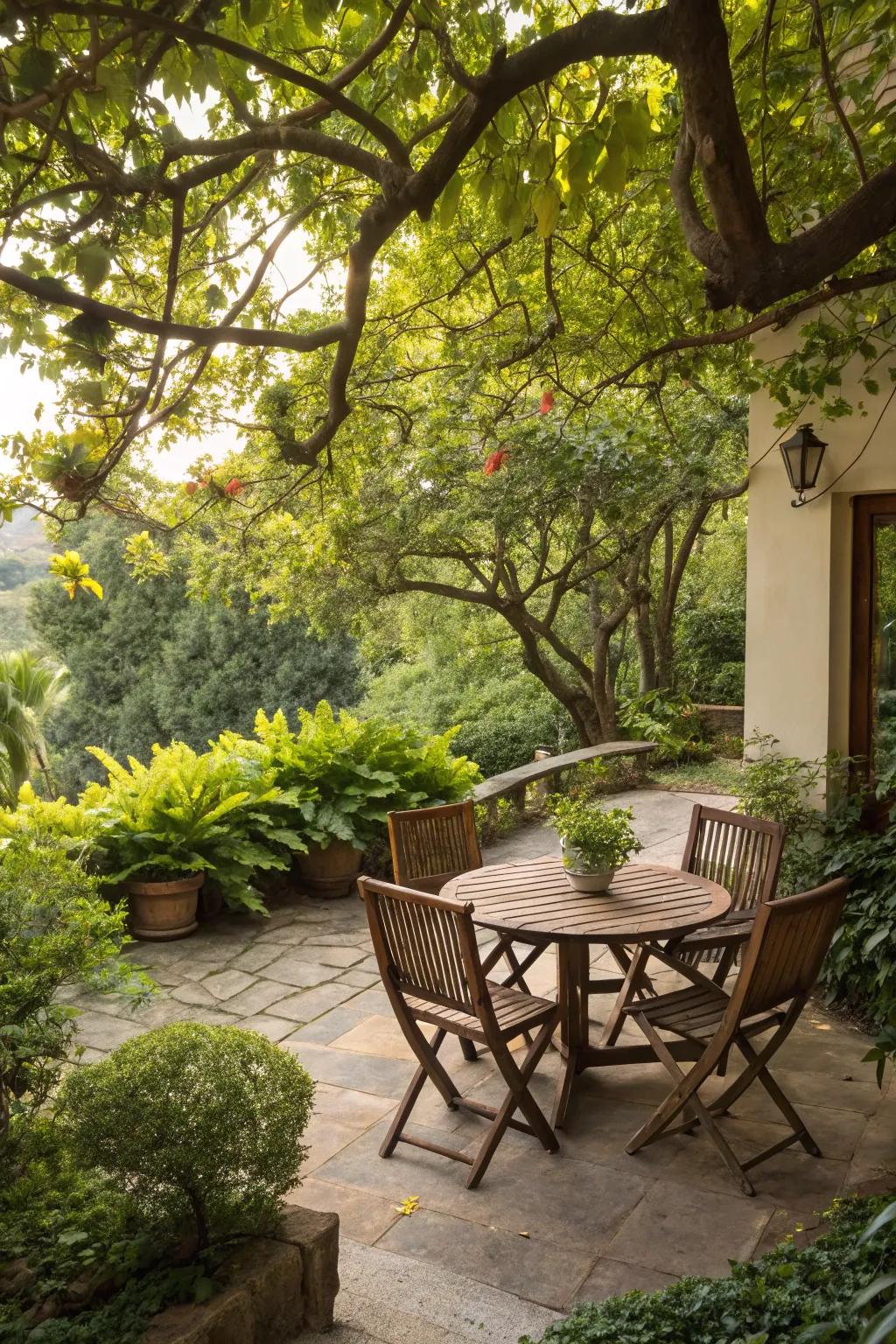 A calm patio nestled among rich trees and plant life.
