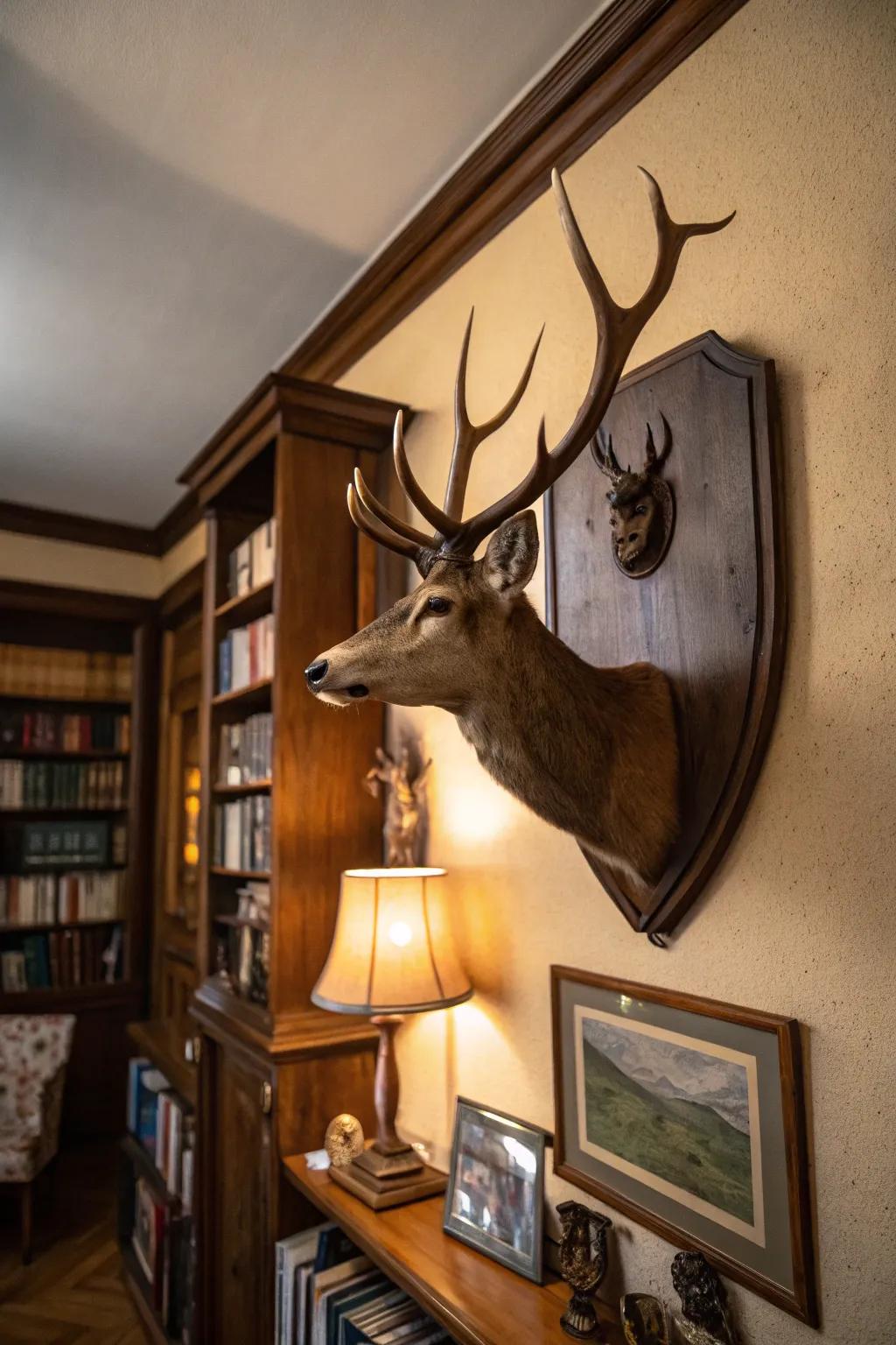 Deer antlers on a vintage backing add historical charm to a cozy study.