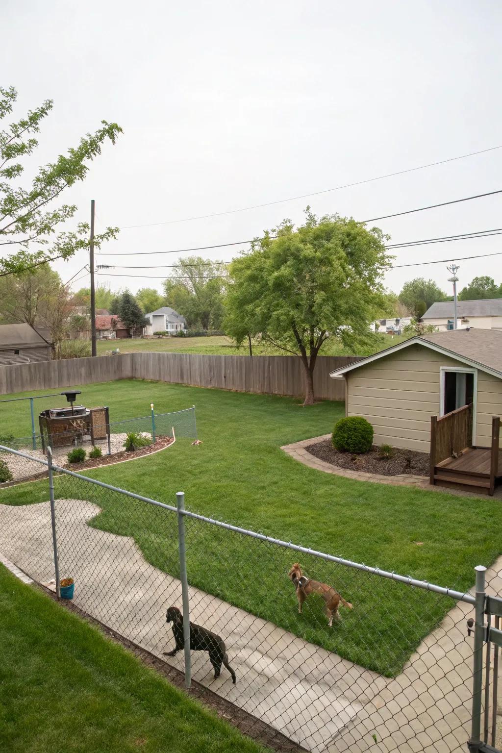 An unrestricted space design allowing dogs the liberty to explore safely.