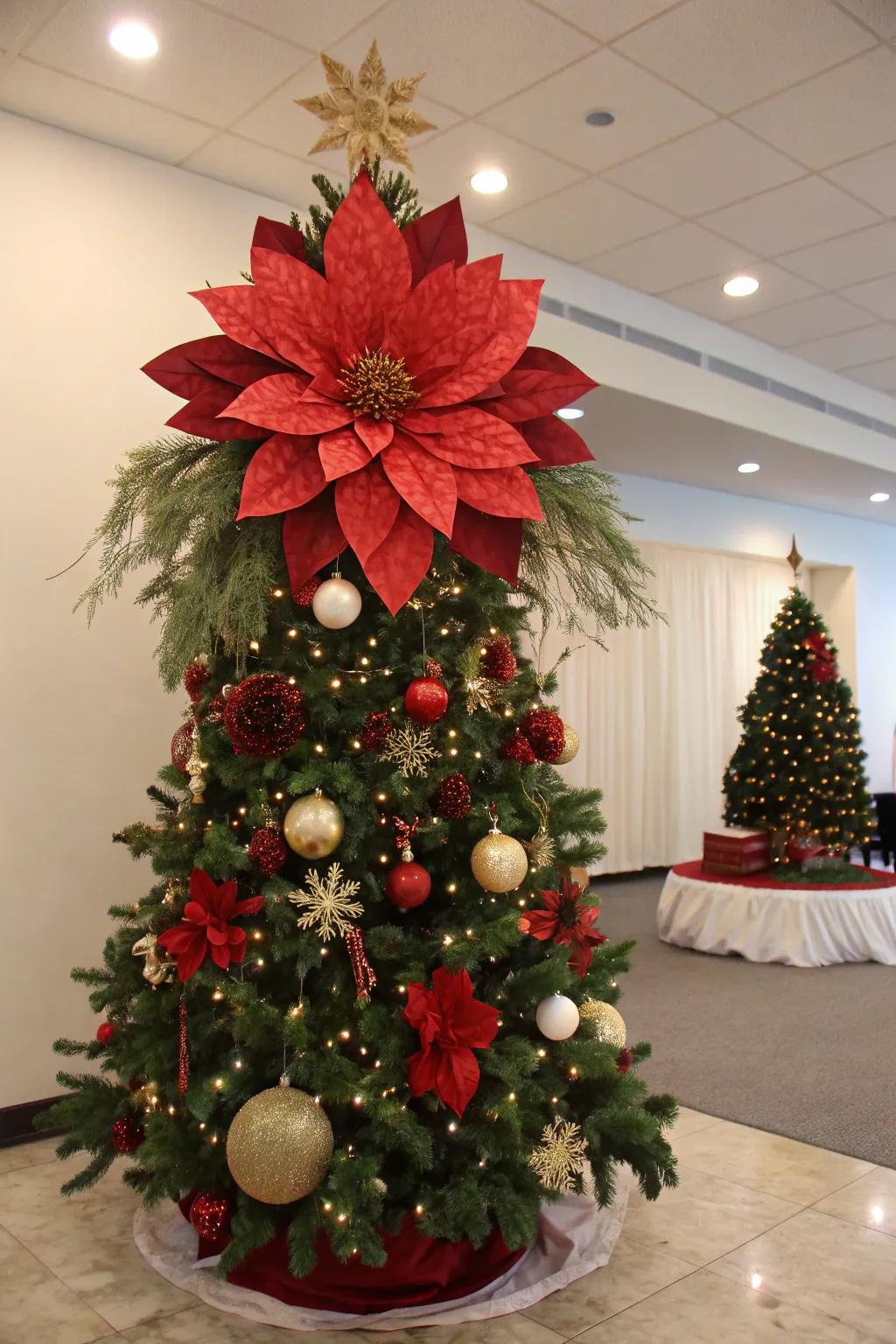 A grand bloom creates a striking and beautiful display.