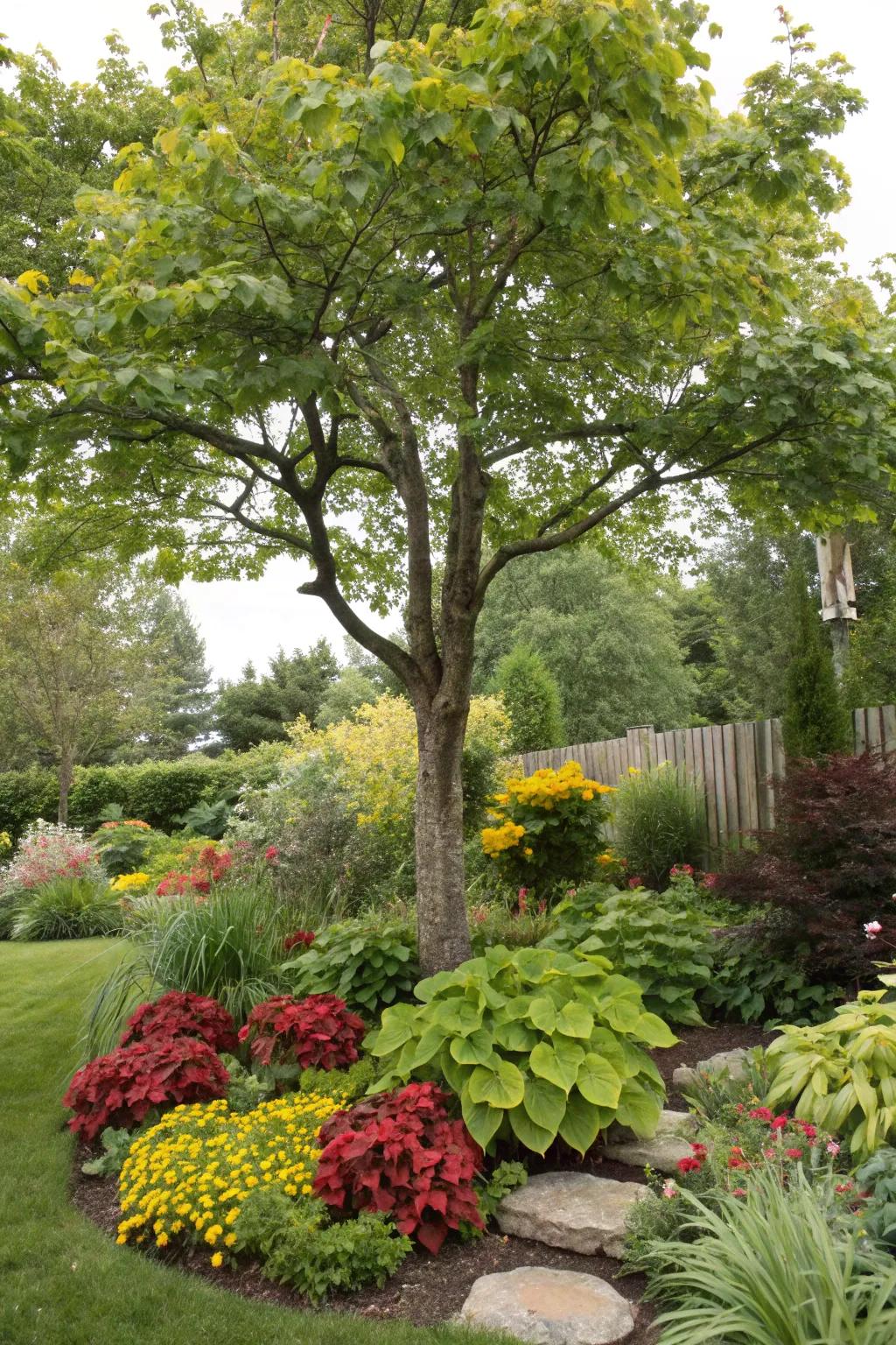 A tree encircled by a diverse mix of plants, adding texture and color to the garden.