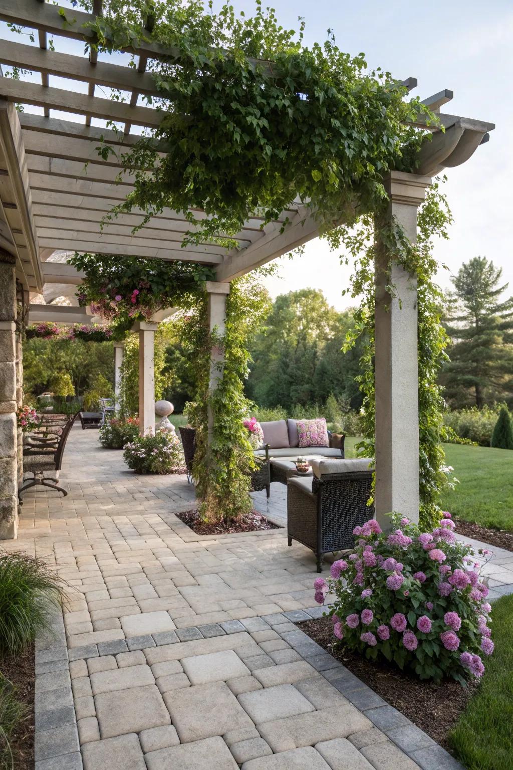 A canopy supplies shadow and describes your patio locale.