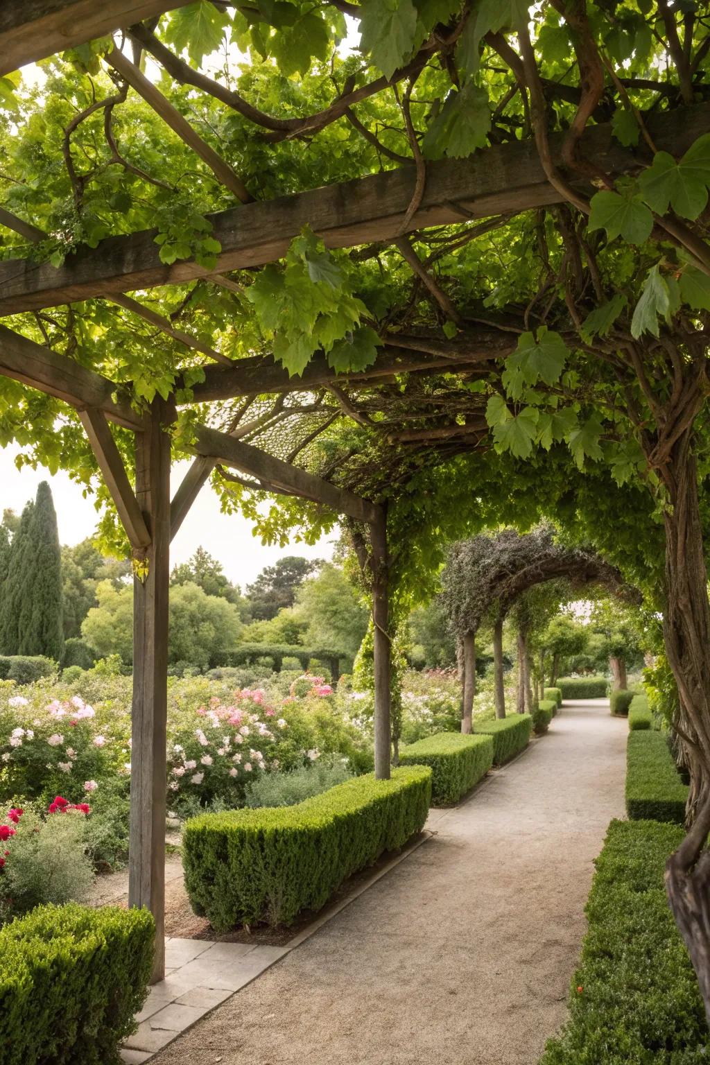 A living canopy creates a tranquil escape beneath lush green foliage, a haven of peace and calm.