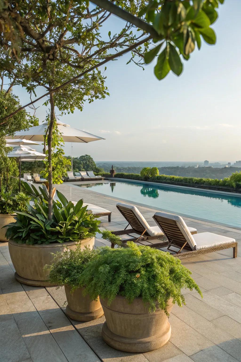 By adding pots and greenery, you may improve the pool deck's natural features.