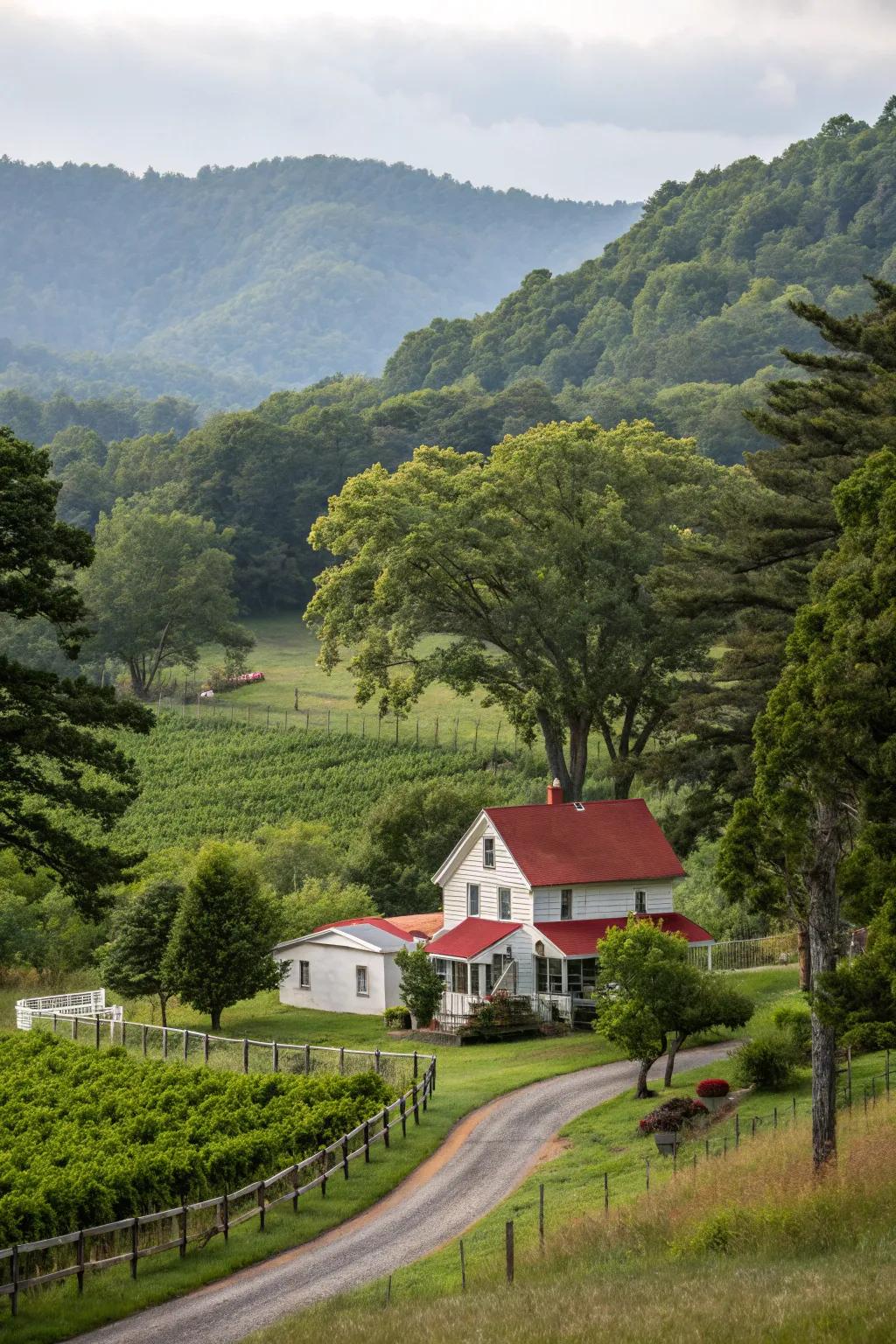 Established trees delivering shade and framework to the outdoor area.
