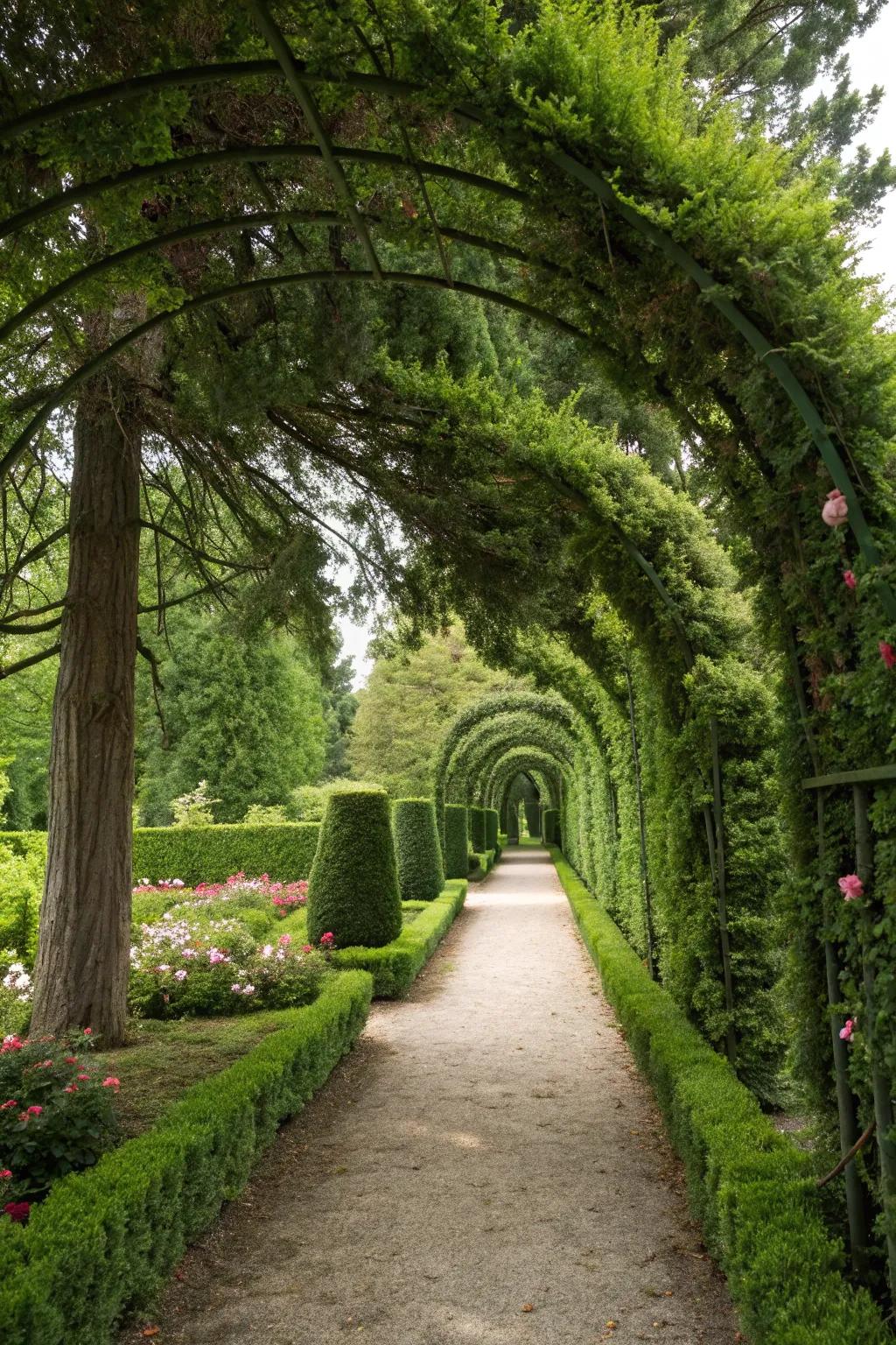 Greet visitors with a stunning verdant gateway of Arborvitae.
