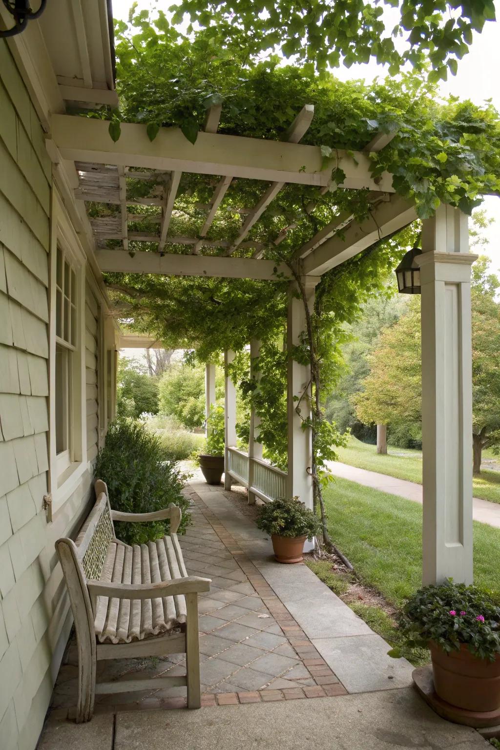 A stylish framework for shade and style.