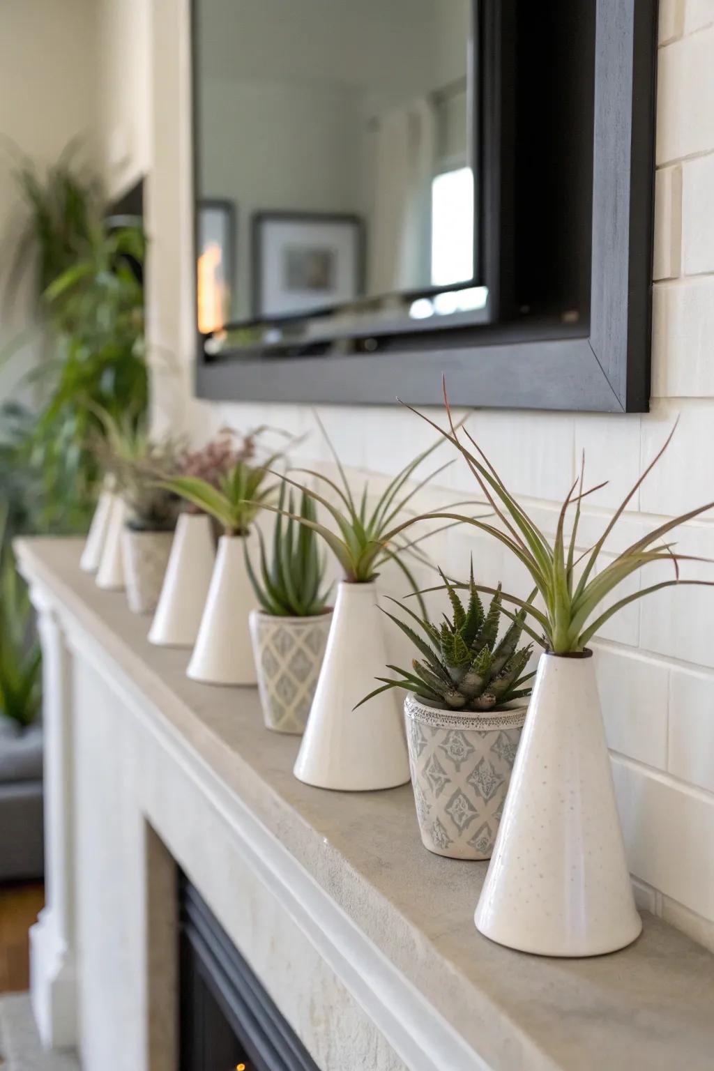 Ceramic holders give a sleek and modern display for air plants.