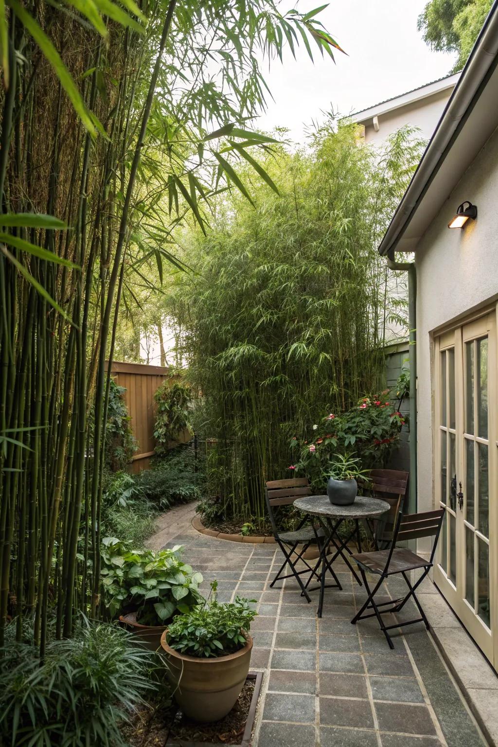 Lofty plants deliver a natural seclusion alternative.