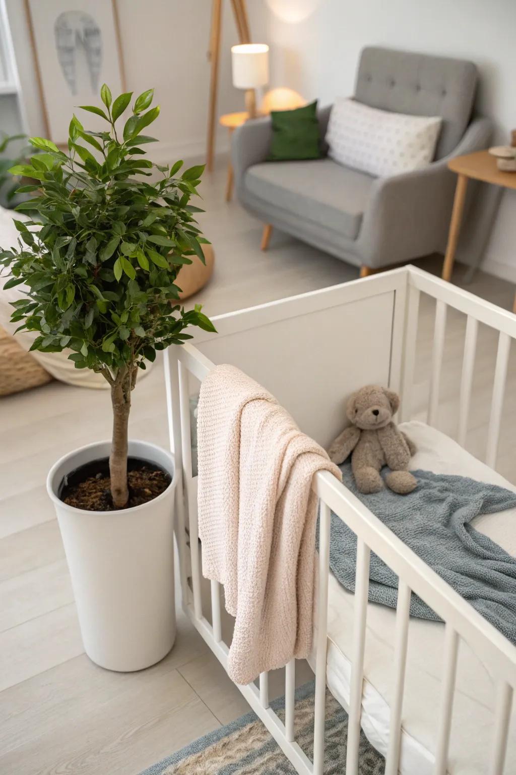 A hint of green can energize your baby area, adding natural beauty and calm.