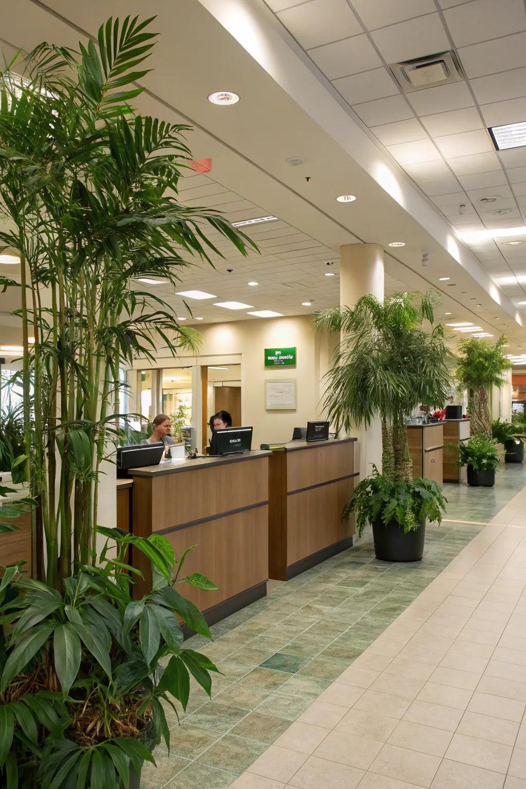 Indoor plants inject life and enhance the bank's ambiance.