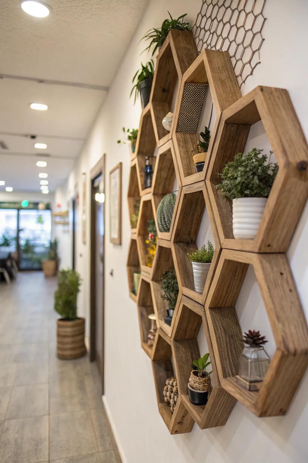 Geometric honeycomb display introduces visual allure and utility.