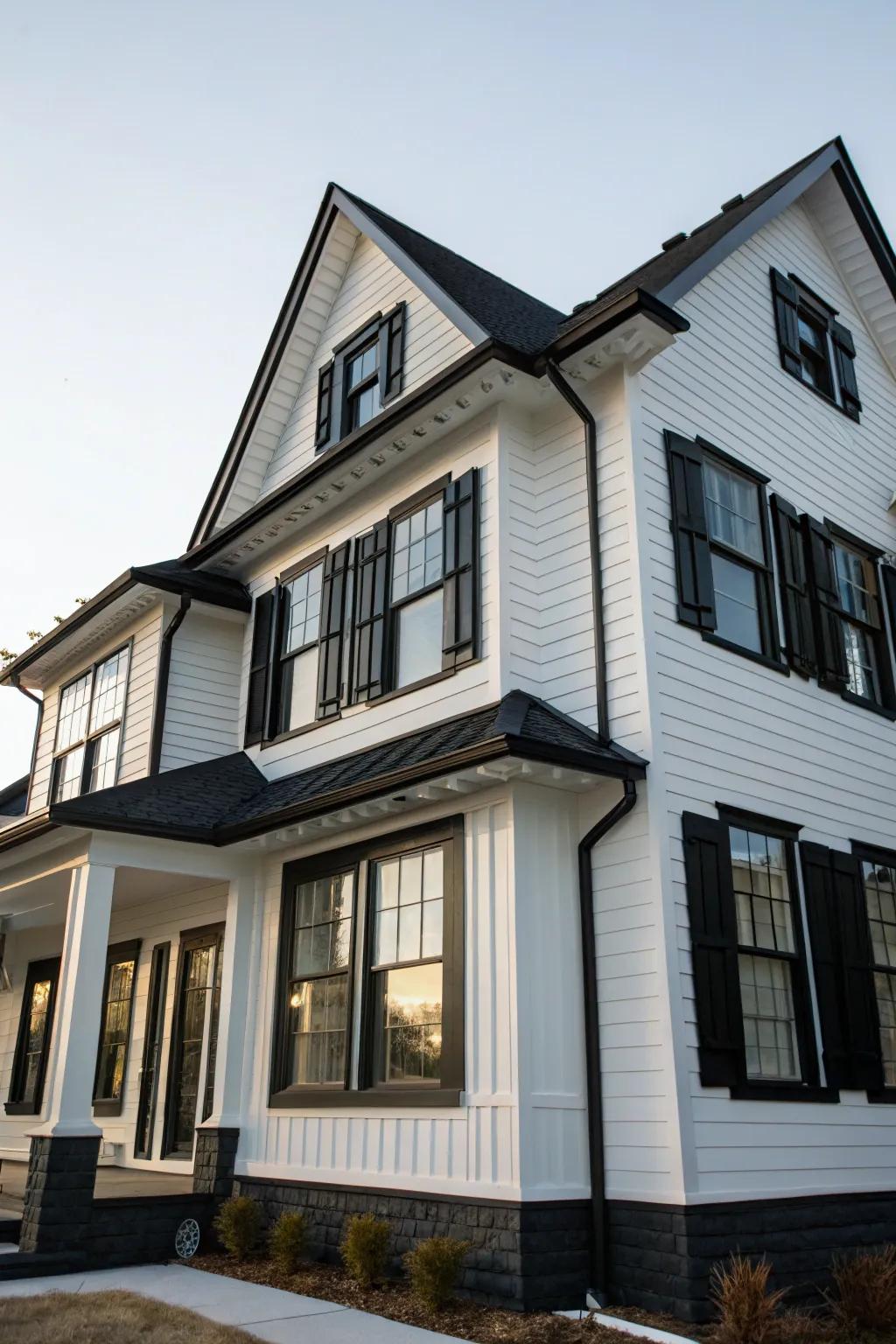 Opposing black finishes highlight the structural details of this dwelling.