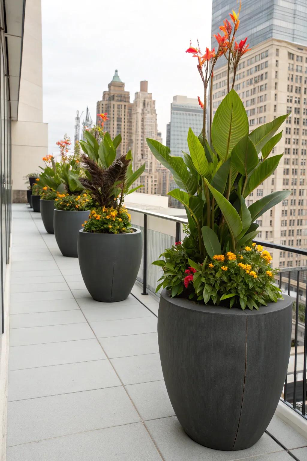 Pinta lilies housed in contemporary pots to create a chic urban ambiance.