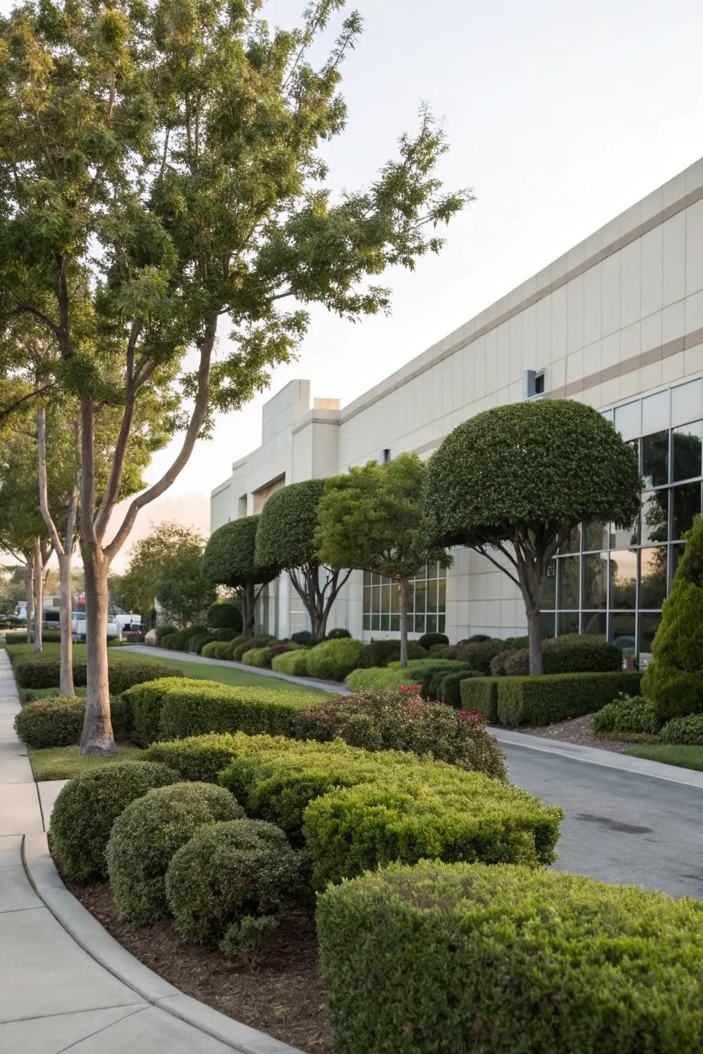 Trees and shrubs add structure and elegance to landscapes.