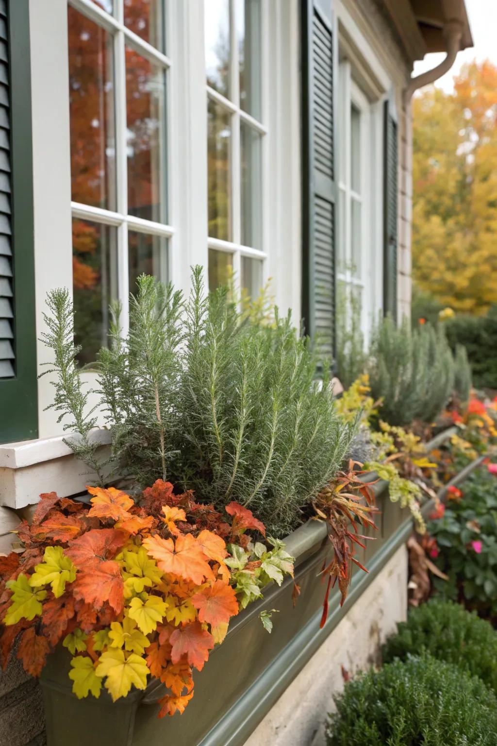Fragrant greens such as fragrant add scent and color.