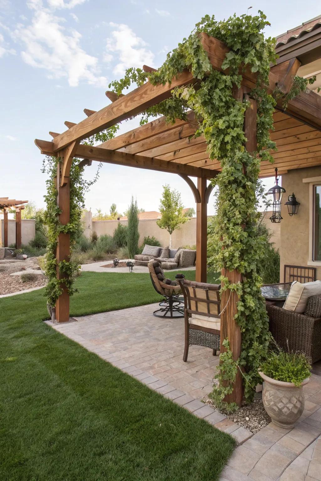 Elegant pergola with climbing plants in a Las Vegas backyard.