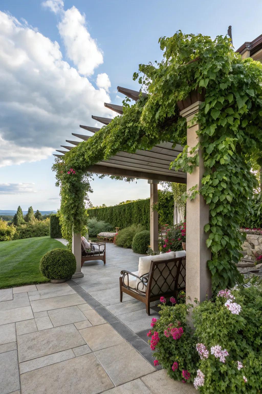 A shaded structure offers both shade and a framework for exquisite climbing flora.