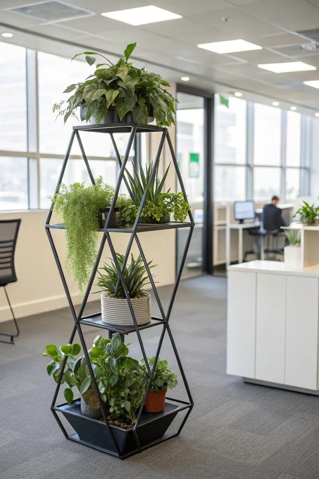 Introduce architectural interest with geometric plant stands.