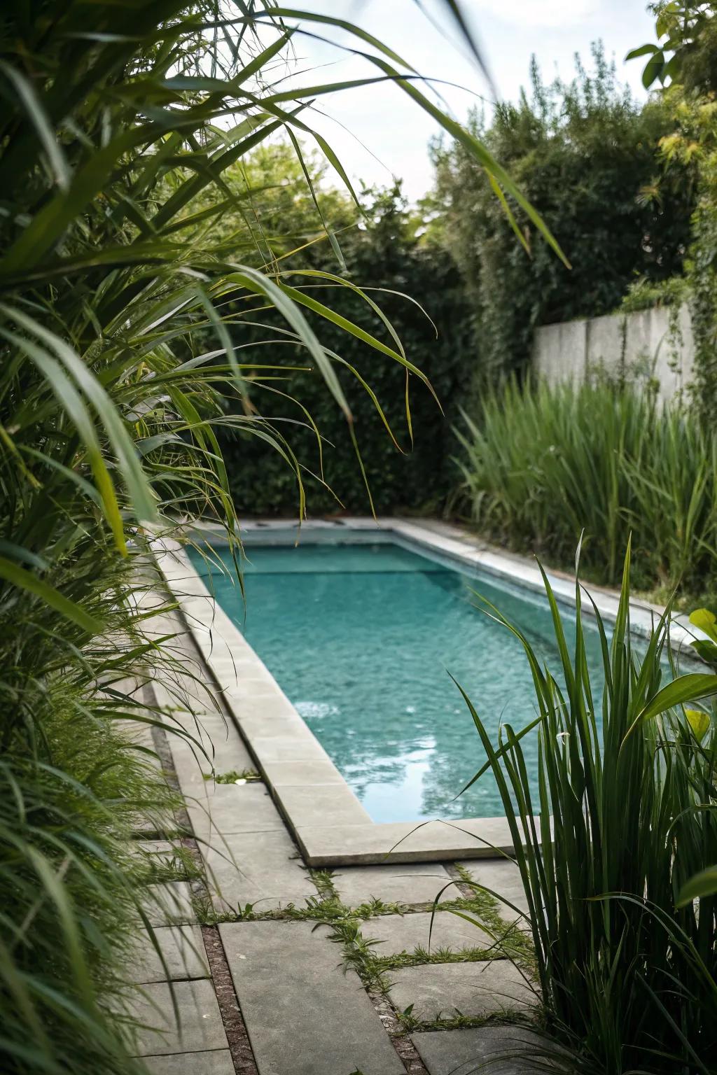 Tall greenery provides privacy and enhances the pool's seclusion.