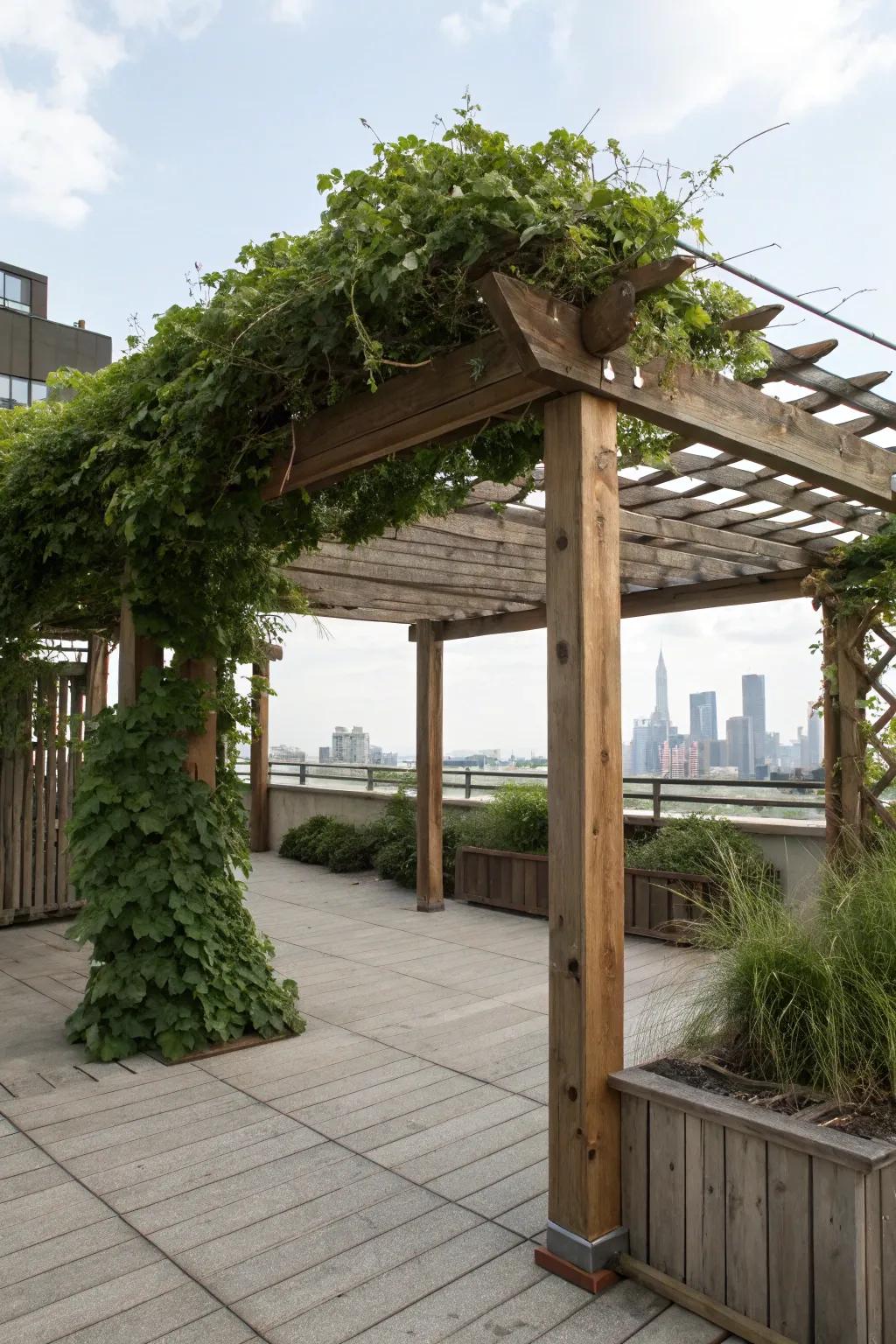 A canopied structure delivers both shade and style to your rooftop.