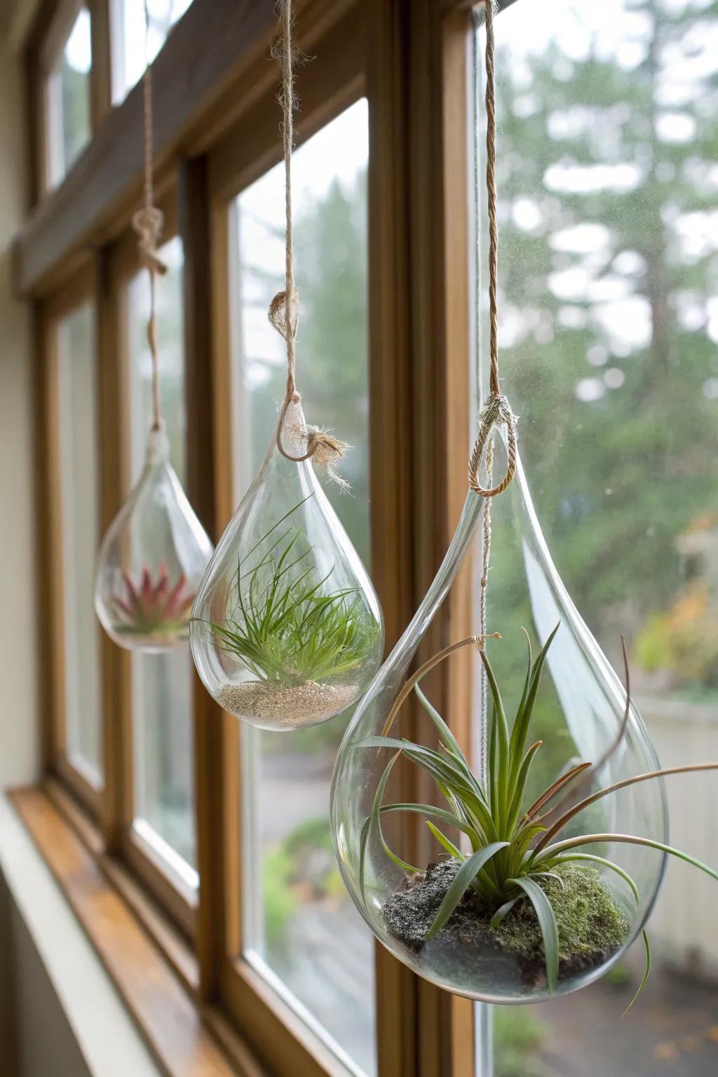 Glass hangers make a delicate and airy display.